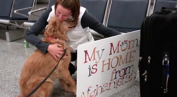 Dog Canâ€™t Stop Crying With Joy When She Is Reunited With Her Soldier 