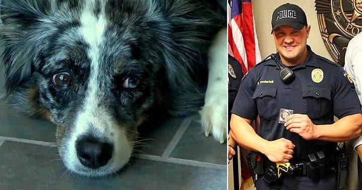 Police Officer Soothes Dog Who Bit Him While On A Call For Service