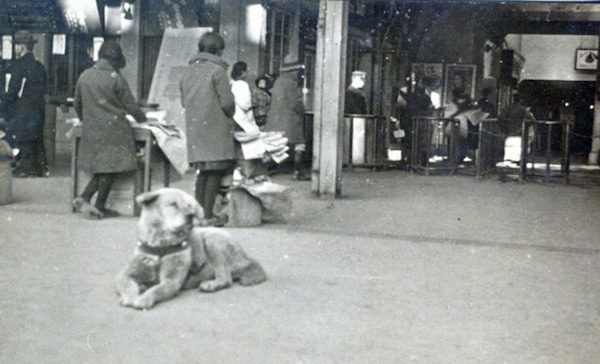 Newly Discovered Photo of The World's Most Loyal Dog Hachiko Shows Him