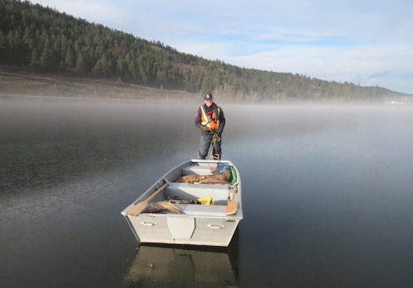 kelowna-deer-rescue-1