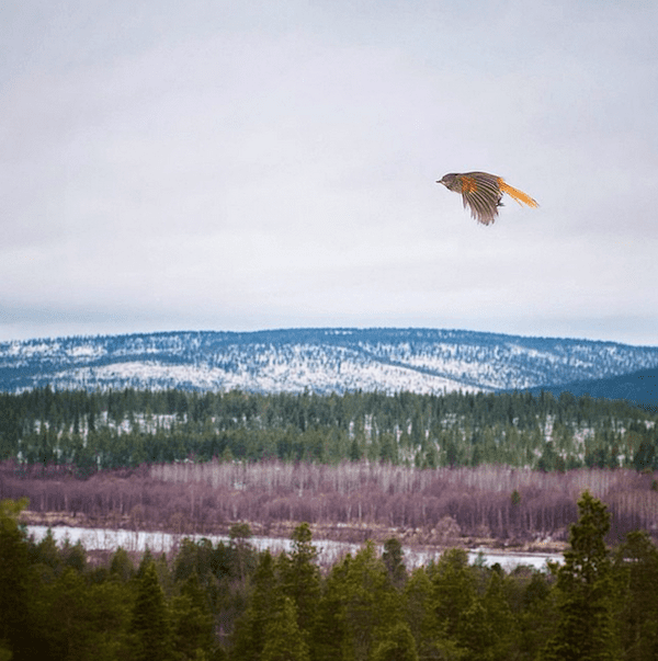 konsta_punkka_photos_16