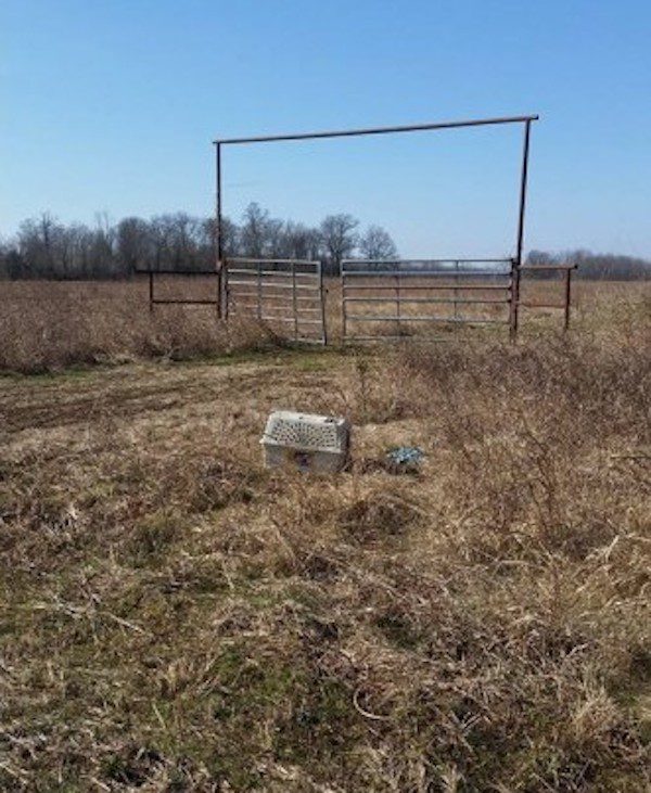 Motorcyclists Save Neglected Dog Thrown Away In Crate On Side Of Rural Road