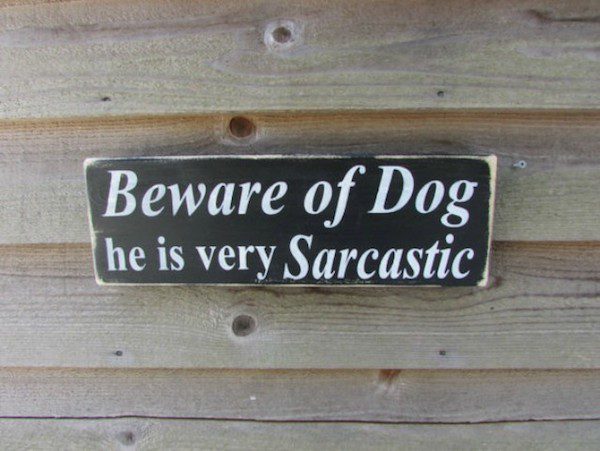 funny dog signs for home