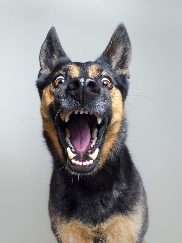 elke-vogelsang-1