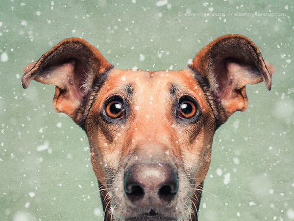 elke-vogelsang-13