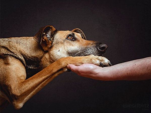 elke-vogelsang-7