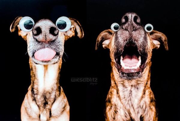 elke-vogelsang-8