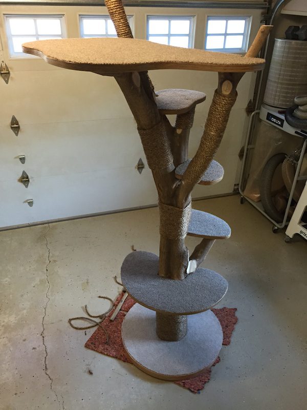 Woman Makes Her Cats A Fantastic 'Cat Tree' From Actual Tree In Her Yard