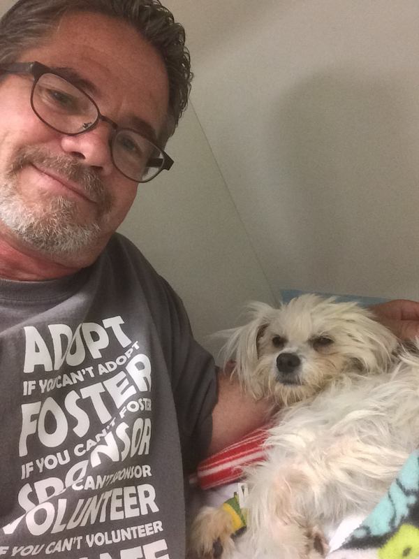 Kind-Hearted Man Saves 'Miracle' Dog He Finds Dying On The Road