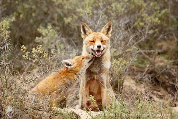 family-roselien-raimond-15