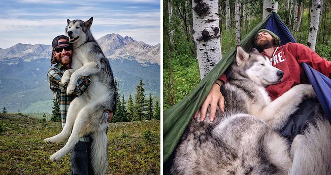 Loving Pet Parent Takes His Wolfdog On Awesome Outdoor Adventures