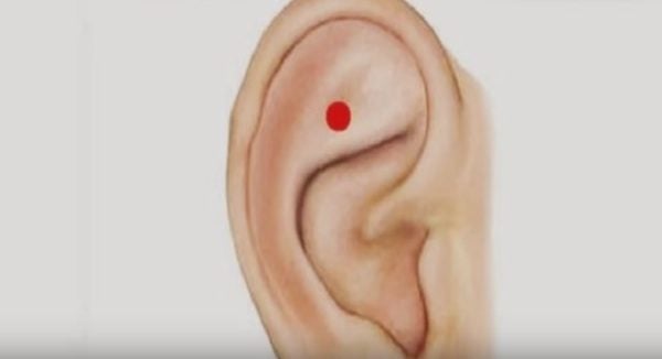 Massaging This Point On The Ear Boosts Health And Relieves Stress