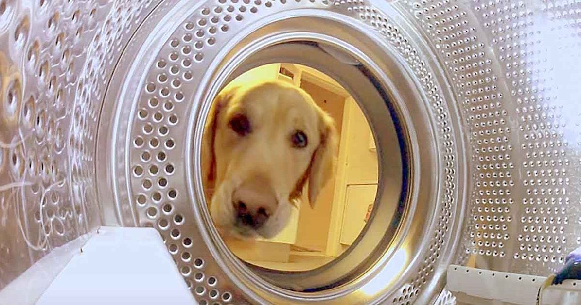 can you put a teddy bear in the washing machine