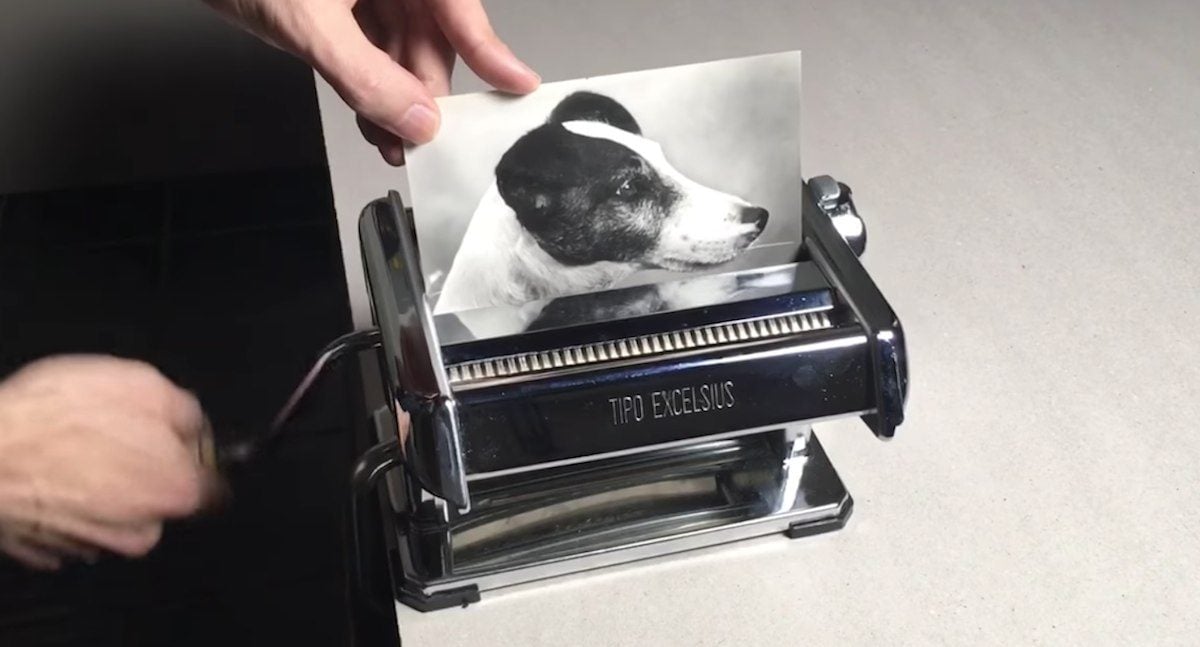 Artist Shreds Photo of A Dog and Turns It into Multiple Photos In ...