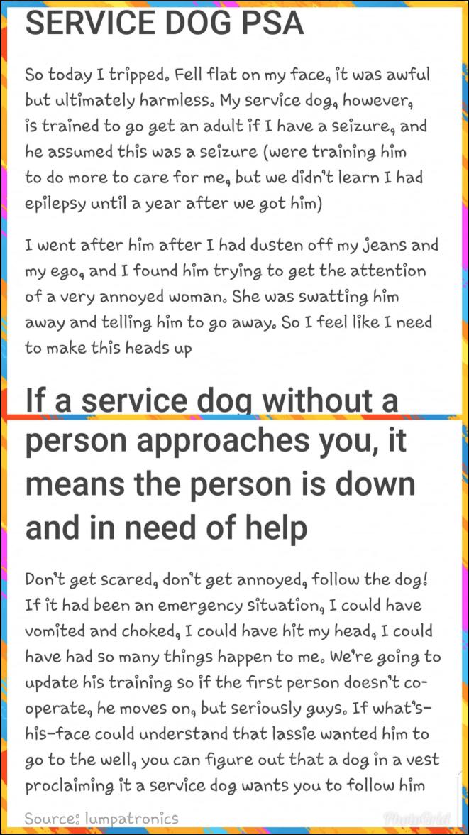 Woman's Service Dog Went To Get Her Help And Was Ignored, What She ...