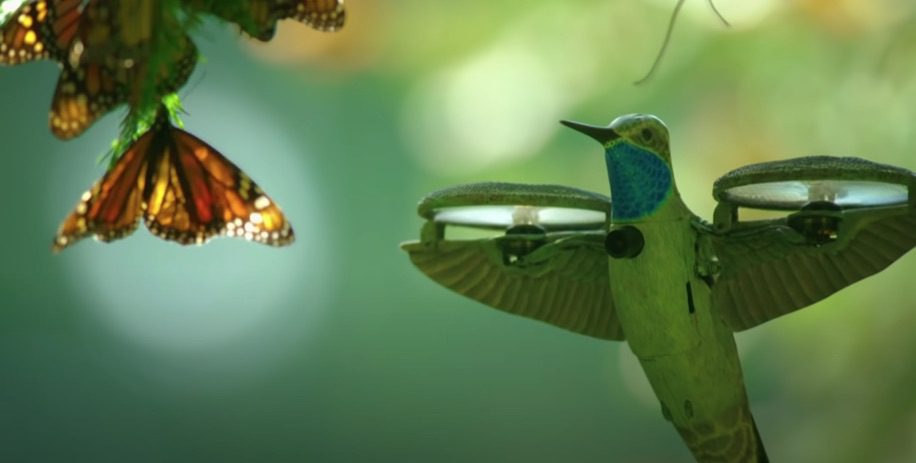 Hummingbird 'Spy' Drone Films Breathtaking Monarch Butterfly Swarm