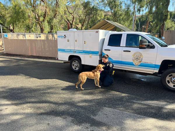 a dog rescued from the gorilla enclosure at San Diego Zoo is much relieved