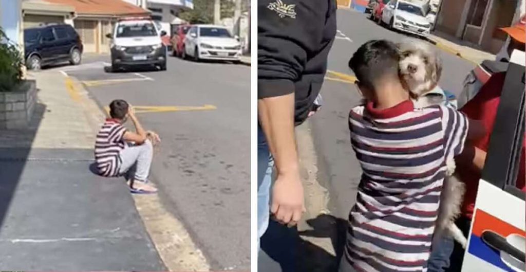 boy reunites with lost dog