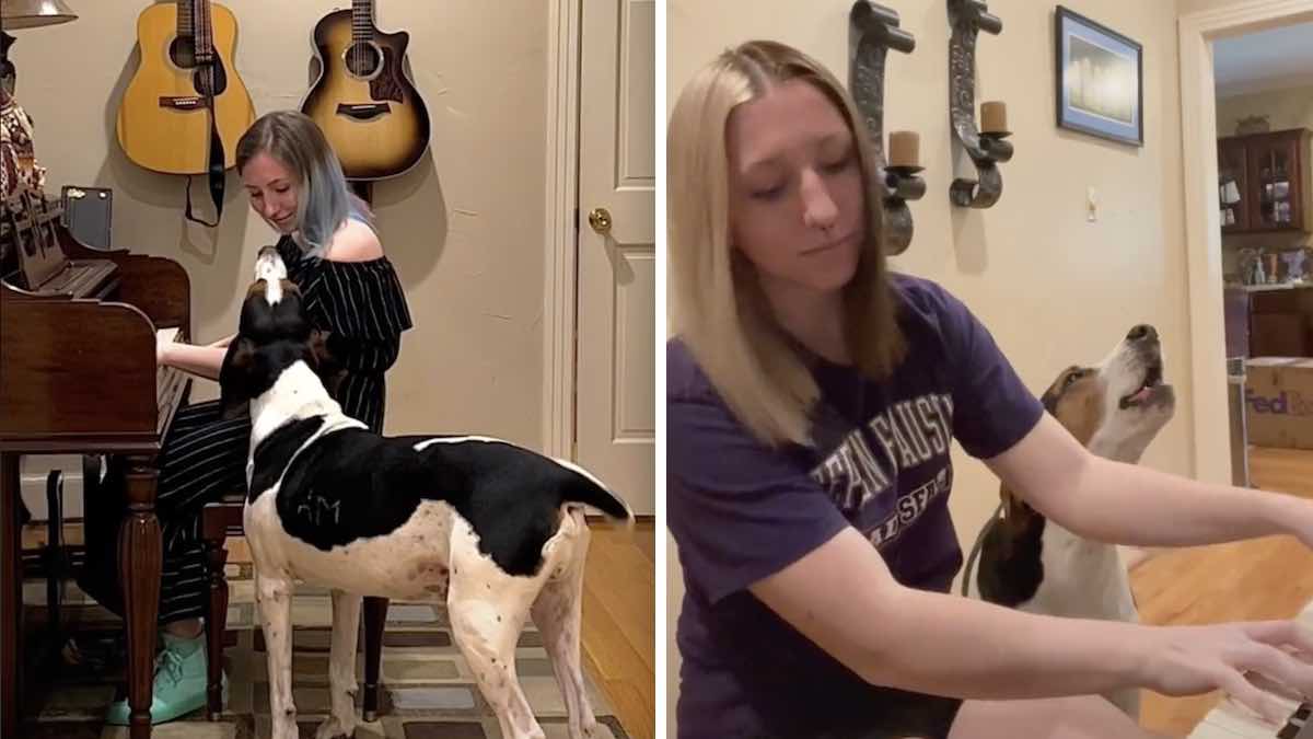 Hound Wants To Sing So He Bugs His Mom Until She Plays Piano For Him