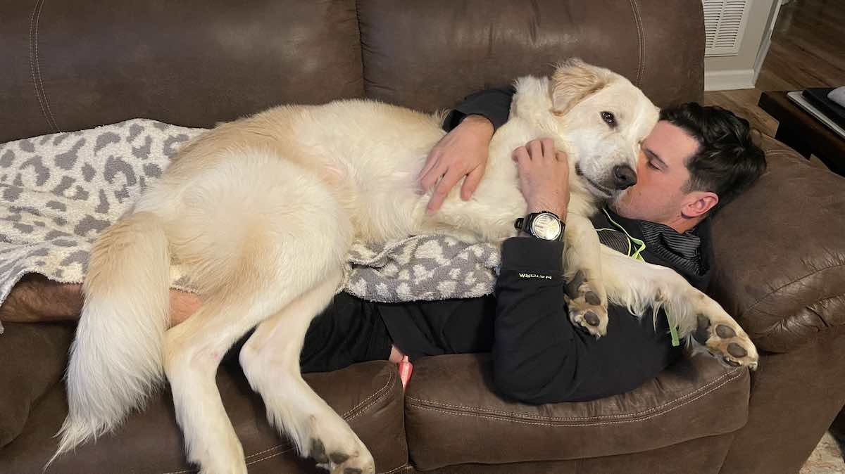 Dog Returned to Shelter 14 Times Finally Adopted