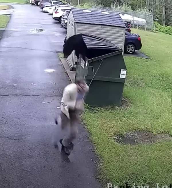 principal finds bear in dumpster
