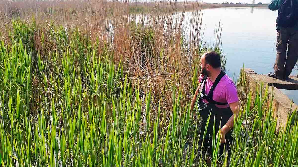 Man Wades Through Marsh To Rescue Tiny Animal After Hearing Cries For Help