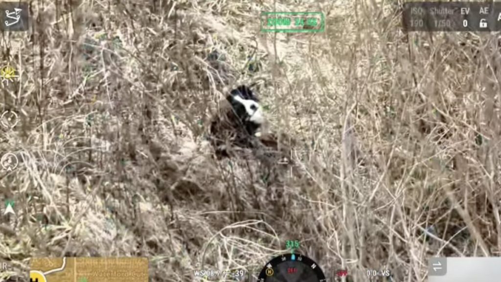 dog found with thermal drone